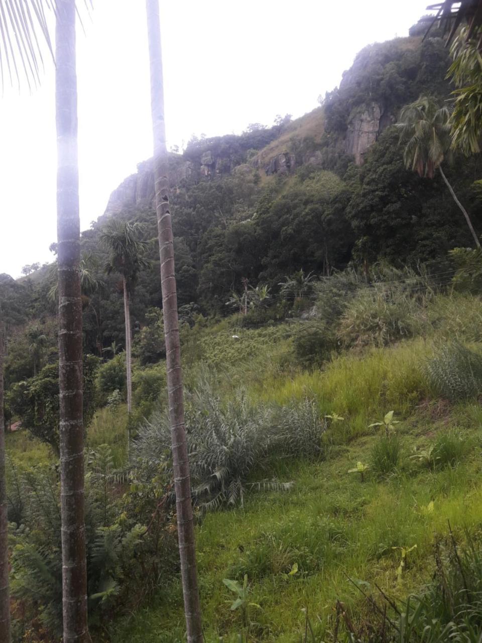 Adam'S Apple Homestay Ella Esterno foto